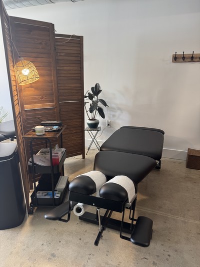 chiropractor, chiropractic, adjustment, manipulation, relief, treat, diagnosis, neck pain, back pain, headache, bone, joint, muscle